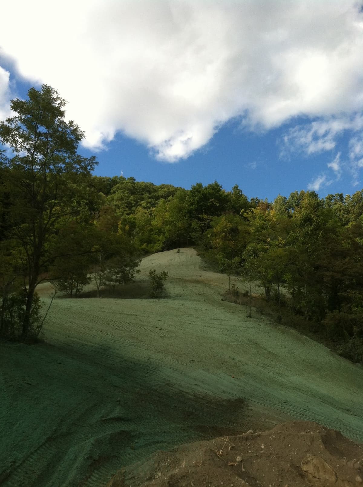 Hydroseeded hillside erosion control