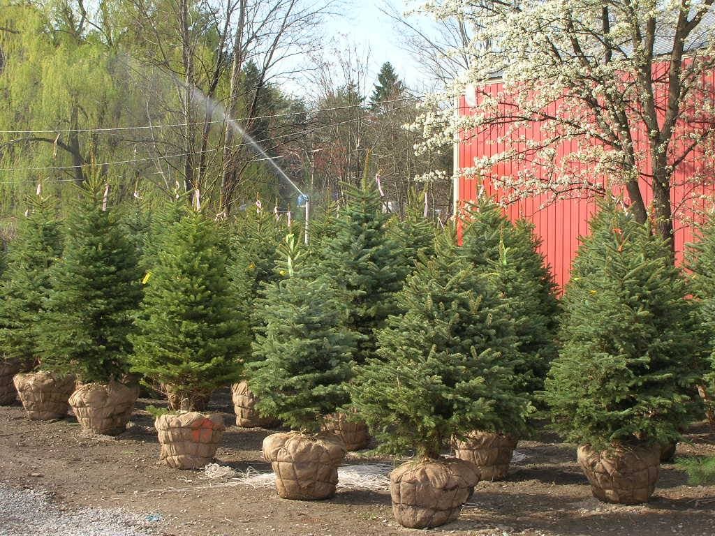 Red Barn Farm & Nursery property