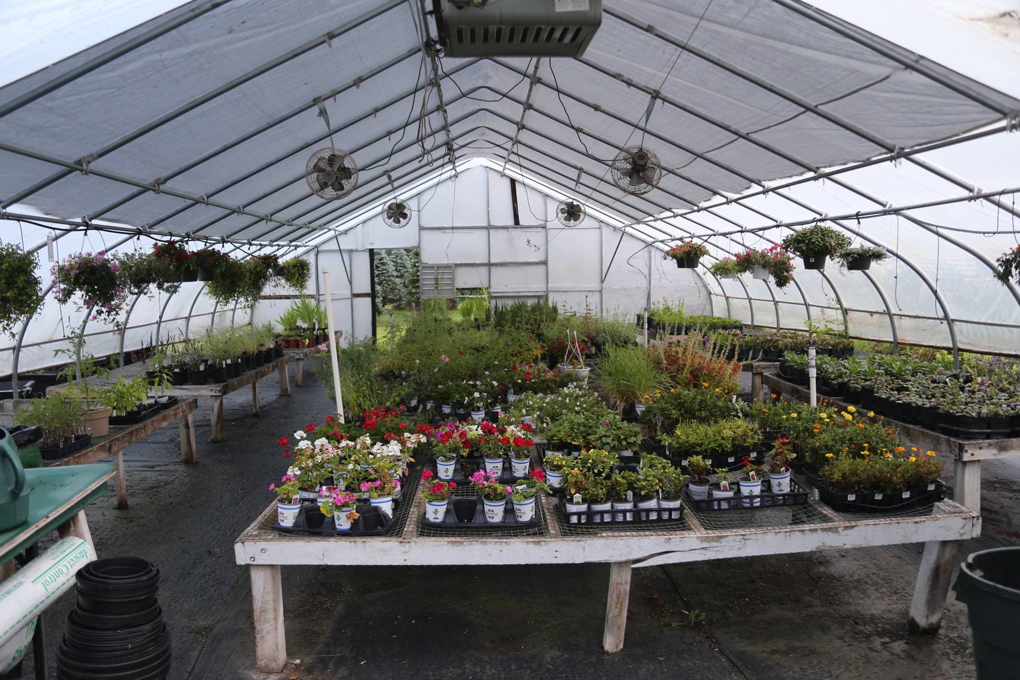 Nursery Stock